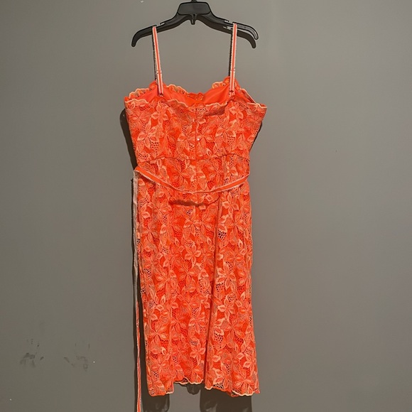 Alex Marie
Crystal Embroidered Lace Sleeveless Dress - Picture 6 of 10